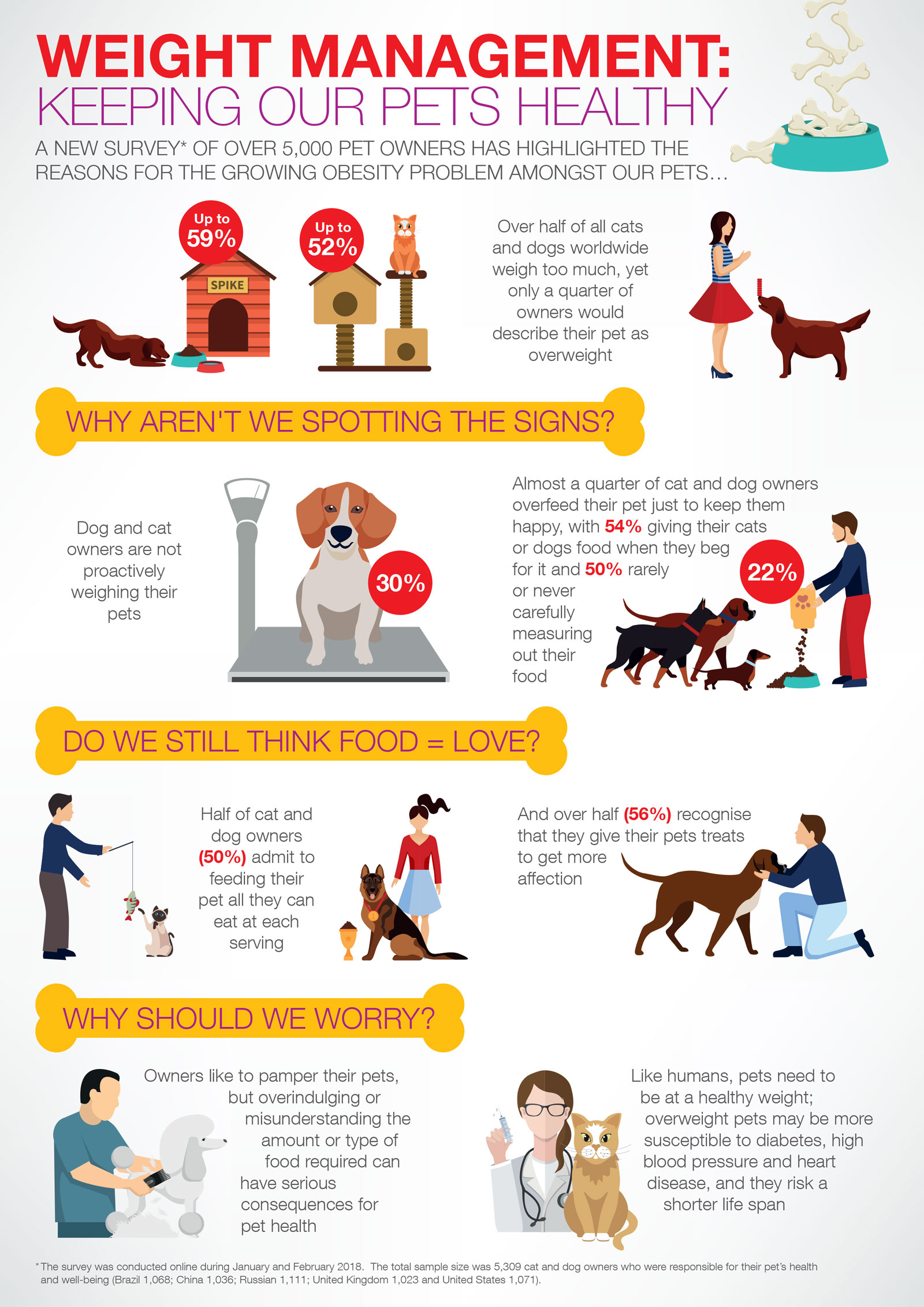 pet obesity infographic