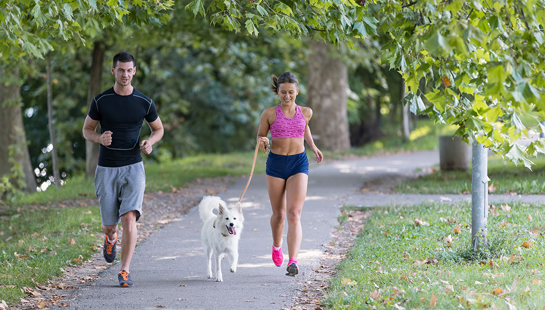 faire de l'exercice avec un animal de compagnie au parc
