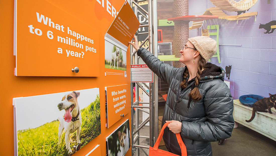 En savoir plus sur les villes acceptant les animaux domestiques