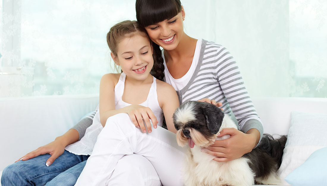 Surveiller les enfants avec des chiens