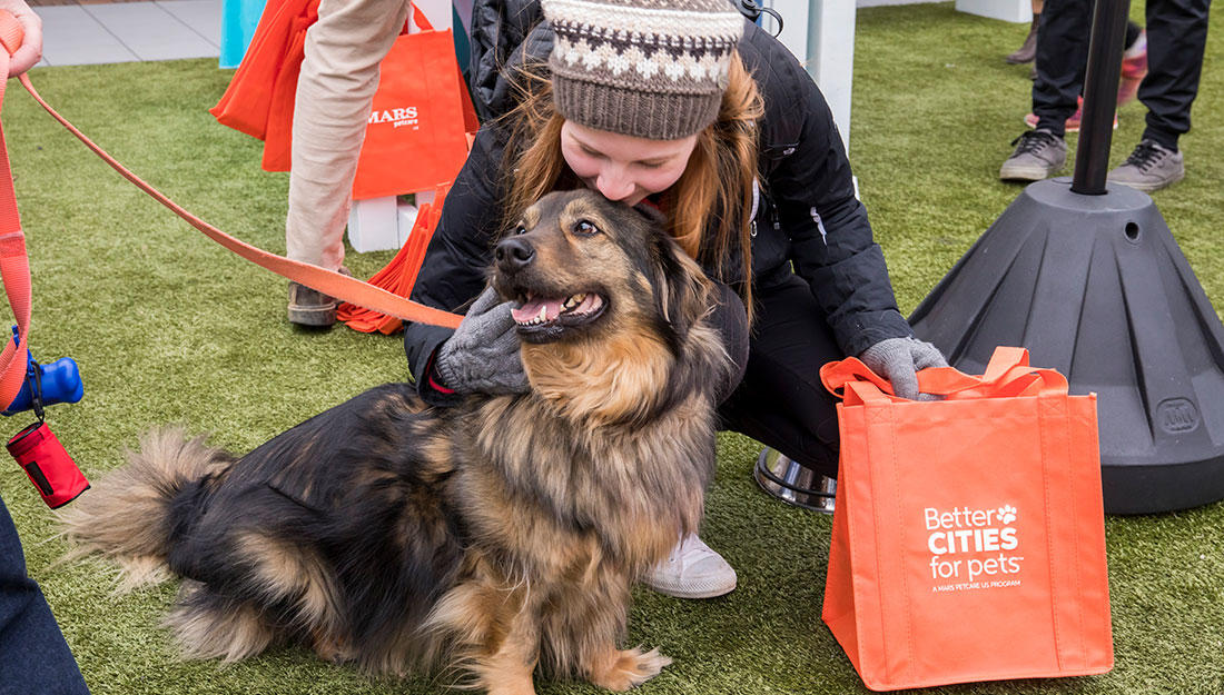 Animaux de compagnie visitant de meilleures villes pour les animaux de compagnie Popup