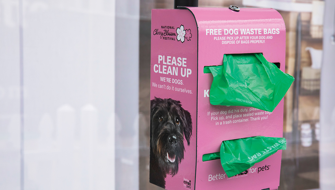 un distributeur de sacs à déjections canines est l'un des équipements les plus pratiques pour les animaux de compagnie