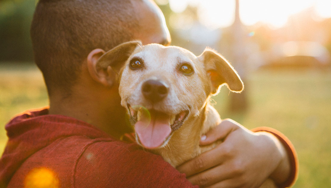 a happy rescue dog with his dad
