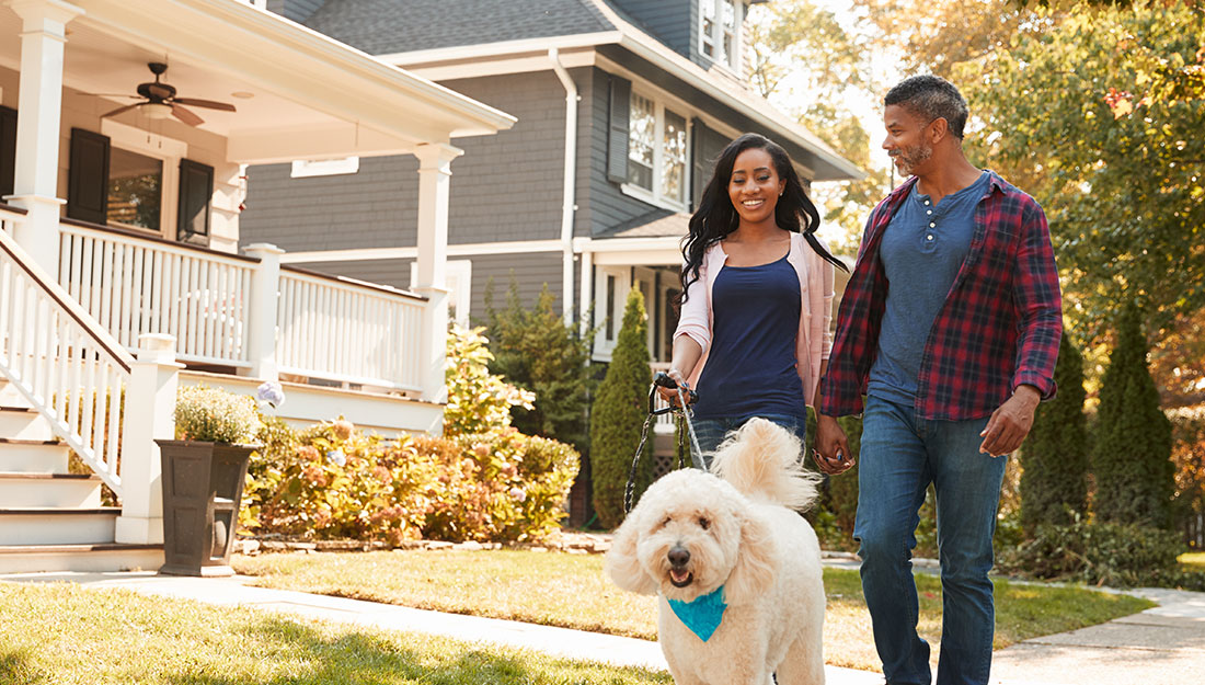 couple walking their dog