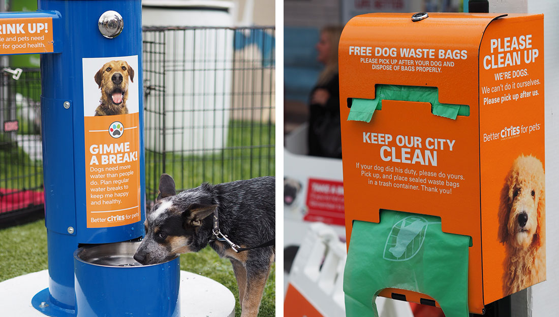 amenities that help city pets