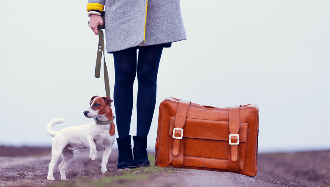femme, chien et valise