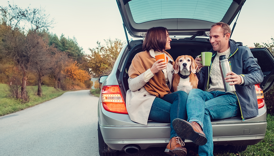 faire une pause en voyageant avec des animaux de compagnie