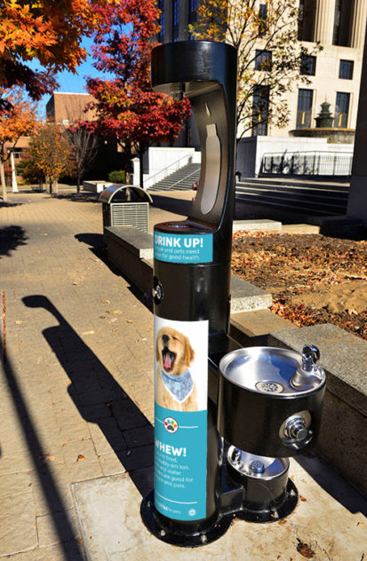 water fountain for people and pets in Nashville