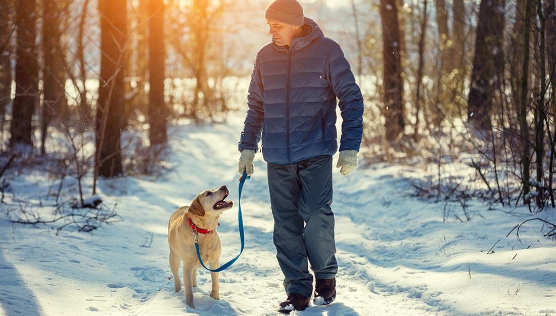 Homme promenant un chien dans la neige dans le cadre de la propriété responsable d'un animal de compagnie pour une bonne santé