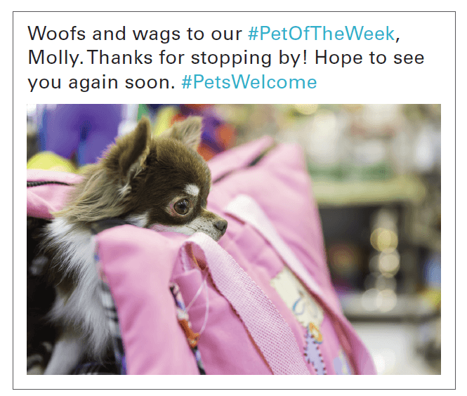Social media post about pet of the week