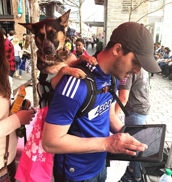 Homme prenant l'enquête d'évaluation de la ville sur une tablette avec un chien dans un transporteur sur son dos