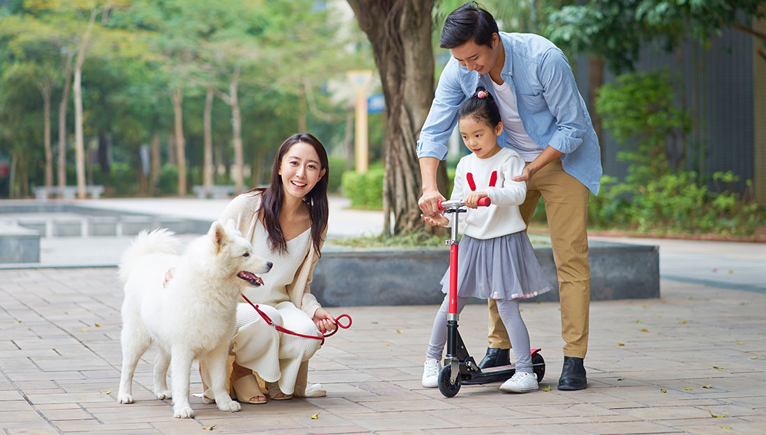 sortie en famille avec chien