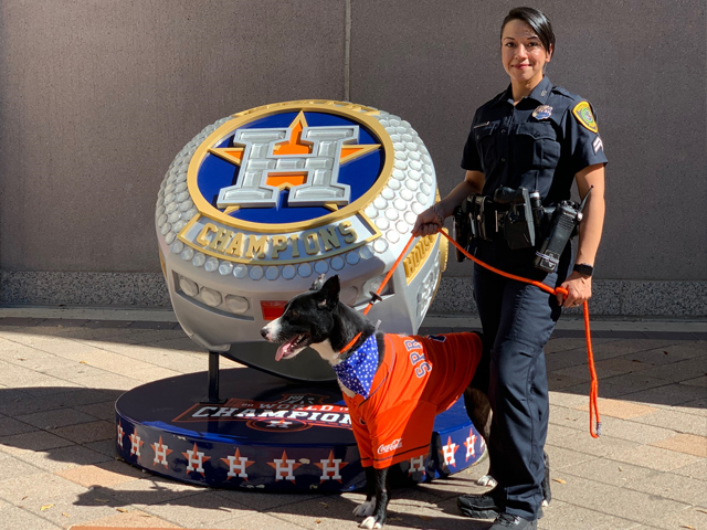 Chien en tenue des Astros de Houston