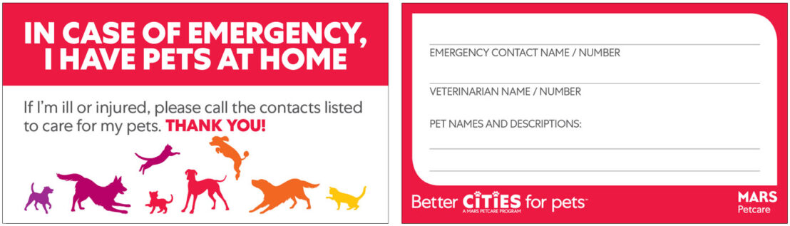 carte d'urgence imprimable pour animaux de compagnie pour portefeuille