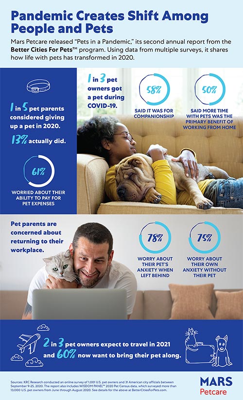 infographic of key results from report