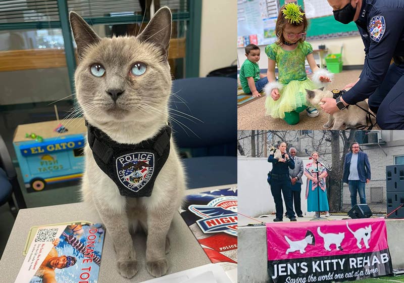 Collage of pictures of the cat, "Pawfficer Fuzz"