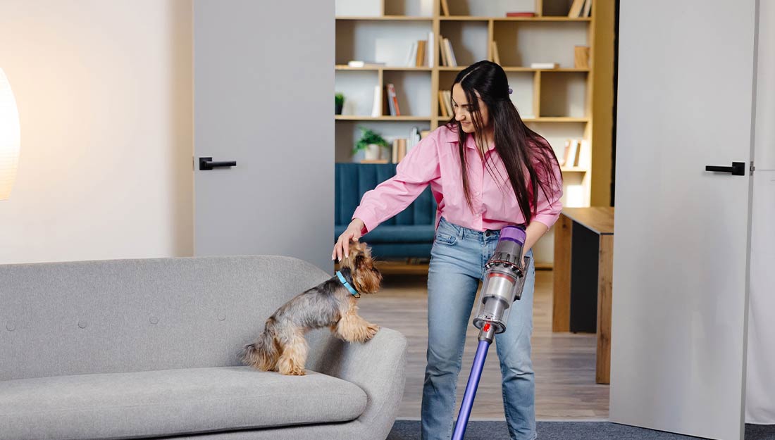 A person vacuums an office while a dog watches.
