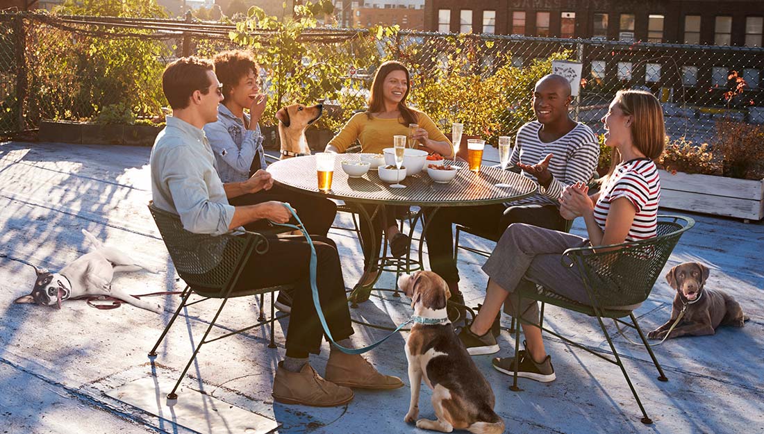 A group of friends sit around a table eating and drinking, with their pets around them on the patio floor.