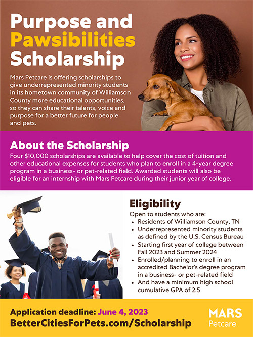 An image of the flyer announcing the scholarship program, which includes the information on this webpage.