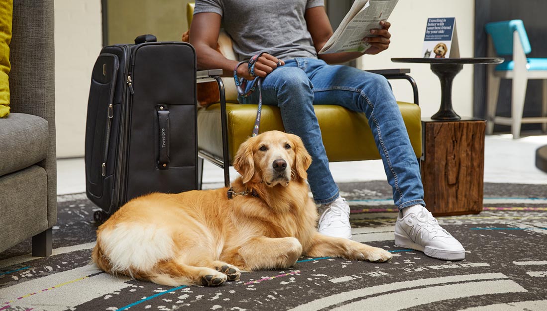 Une personne est assise dans le hall d’un hôtel avec un chien en laisse.
