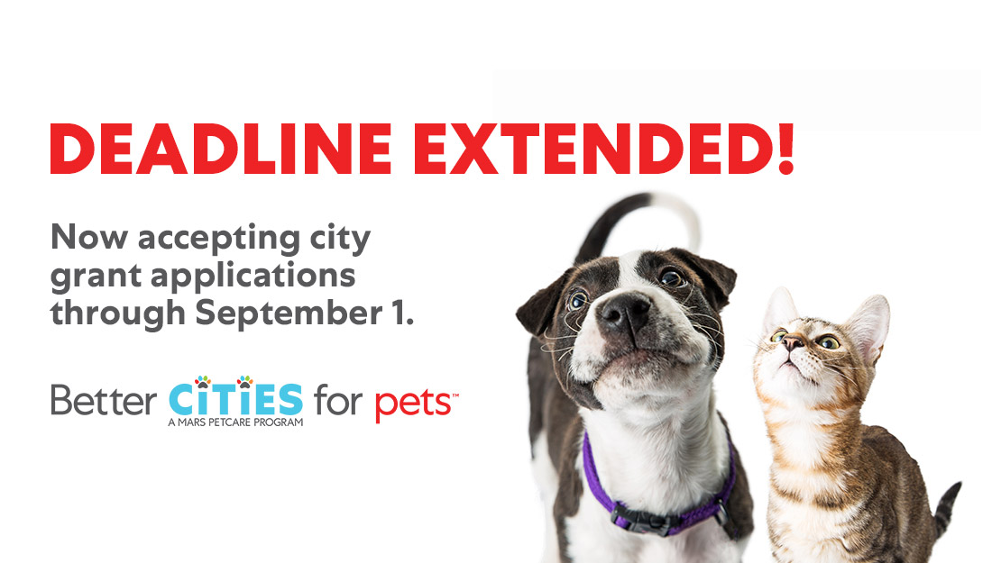 Un chien et un chat lèvent les yeux vers un texte qui dit : Date limite prolongée ! Accepte maintenant les demandes de subvention de la ville jusqu'au 1er septembre.