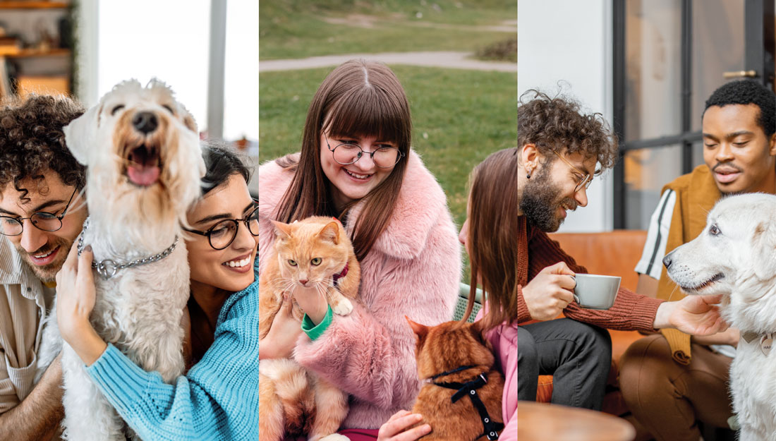 Three side-by-side photos of people interacting with other people and pets.