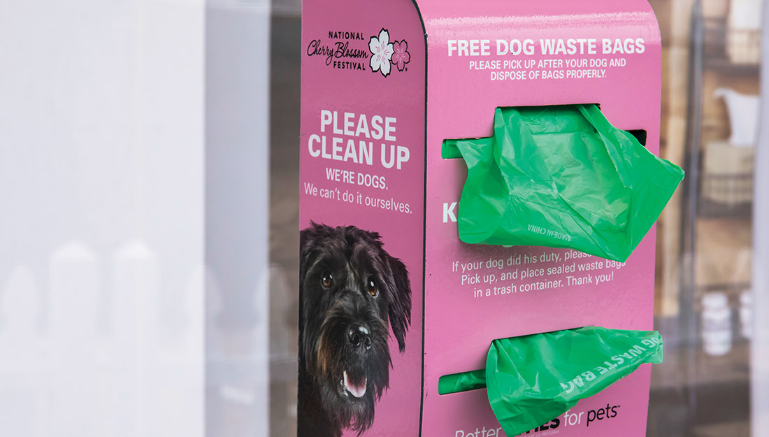 A close up view of a waste bag dispenser with responsible pet ownership messages like "Please clean up. We're dogs. We can't do it ourselves."