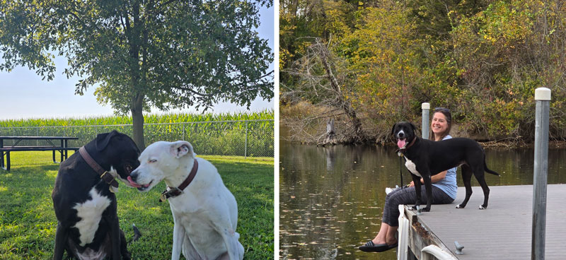 Side-by-side photos of the Nauvoo dog park with two cute dogs and the state park with a dog and its owner sitting on a dock.