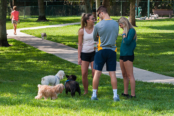 People and pets gathered at Mizner Bark Dog Park in Boca Raton