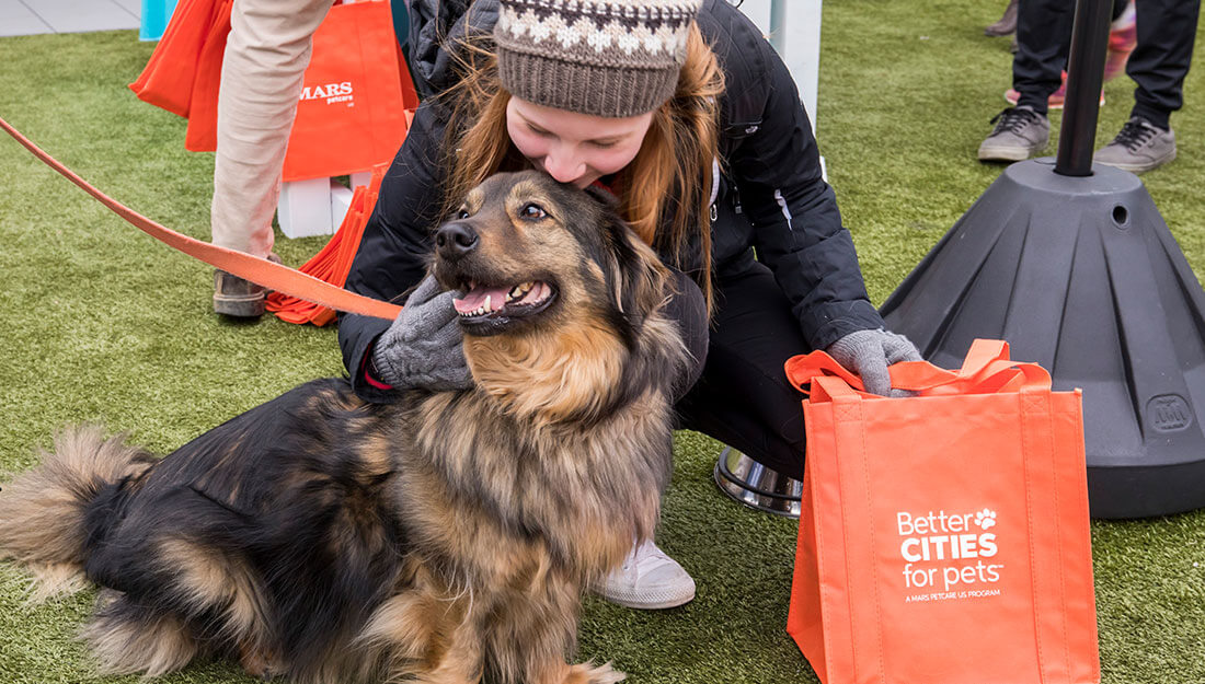 happy pet at Better Cities for Pets park||