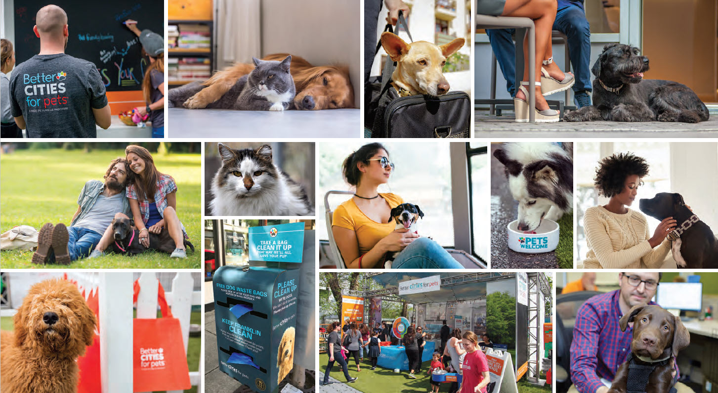 Collage de photos de personnes et d'animaux domestiques