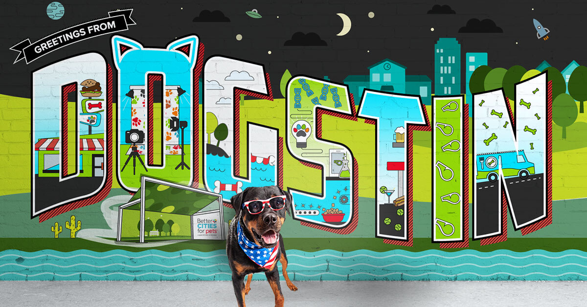 Dog in sunglassed in front of Dogstin sign|