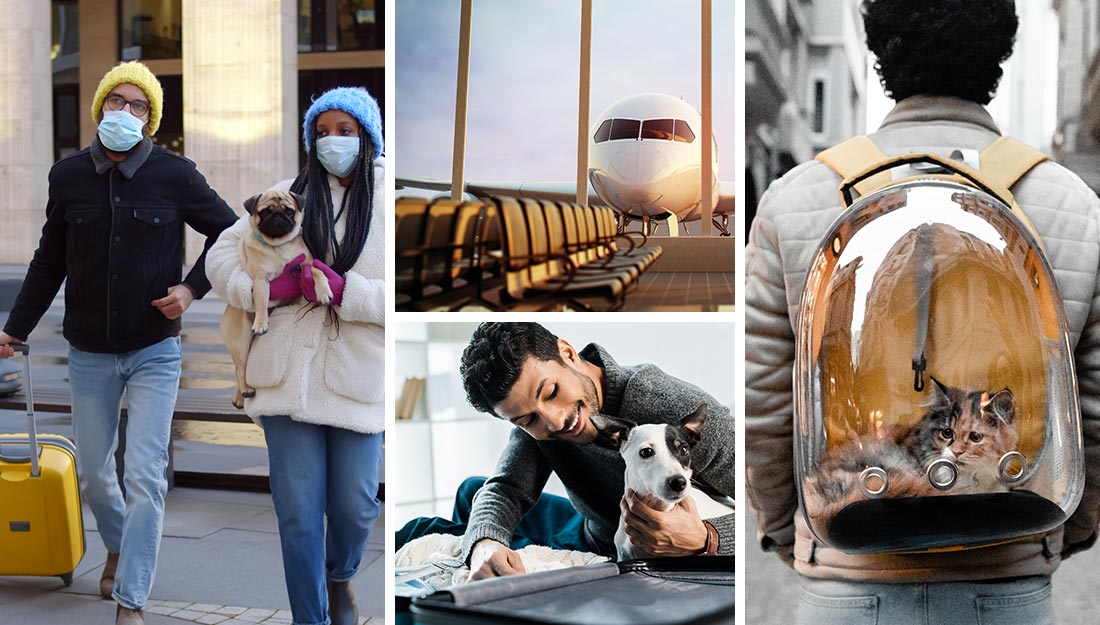 collage of people at airports and traveling with pets