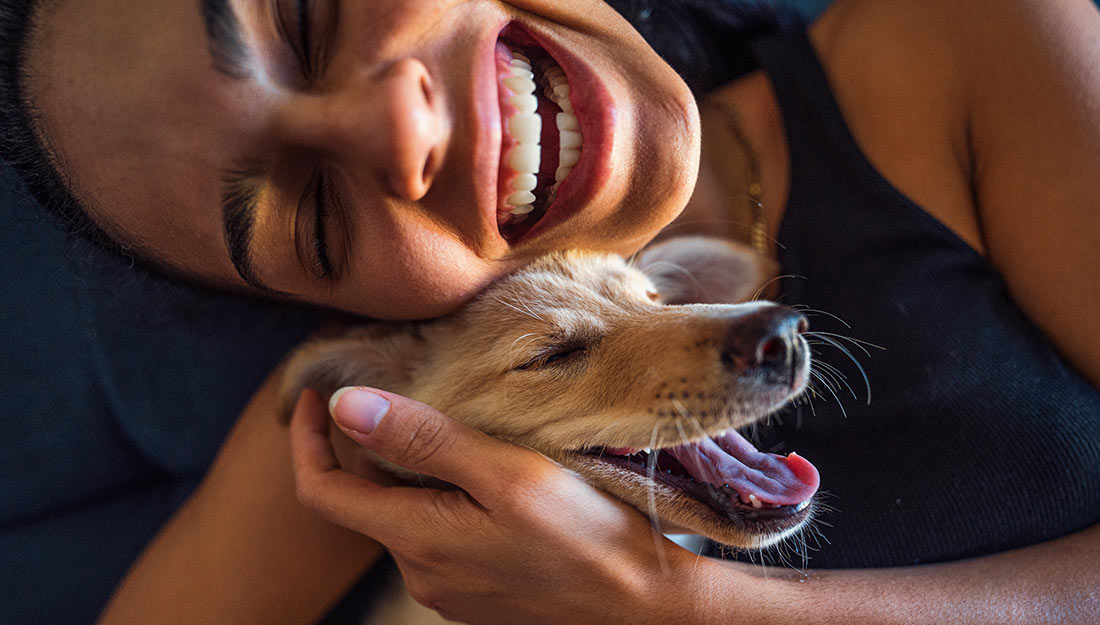 A woman laughs and hugs a dog. The dog looks happy and relaxed.