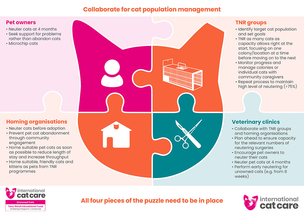 Une infographie représentant 4 pièces du puzzle pour la gestion de la population féline : les propriétaires d'animaux