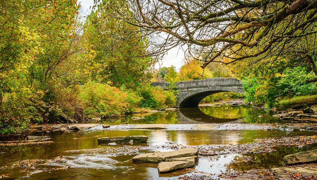 Un ruisseau avec un beau pont dans un parc de Louisville
