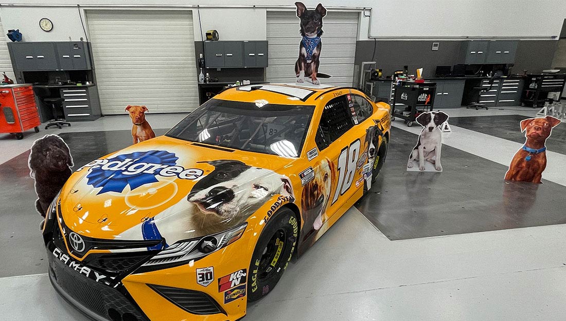 Kyle Busch's No. 18 Toyota Camry surrounded by cardboard dog cutouts that will be part of his honorary pit crew