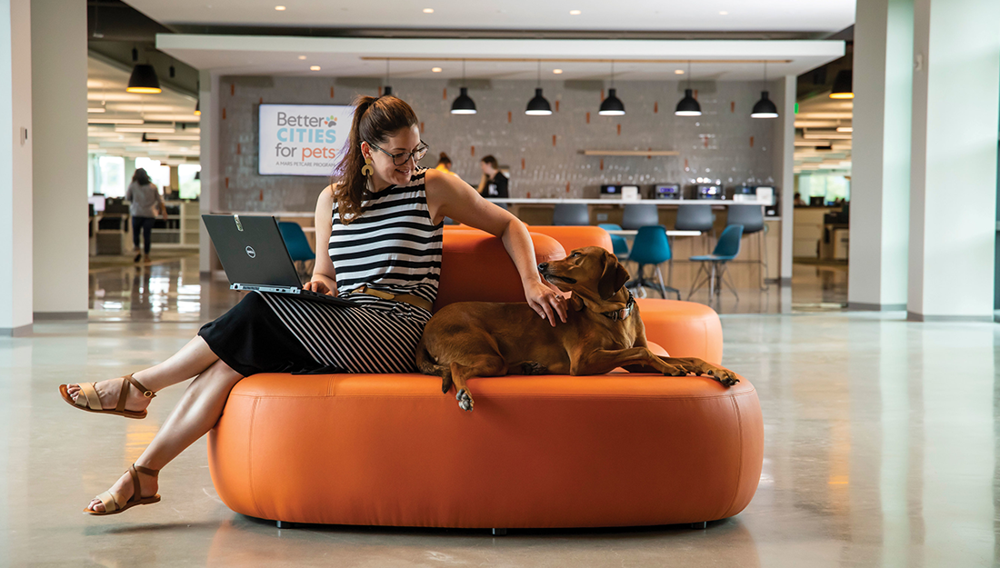 A woman working with her dog at Mars Petcare's pet-friendly North American headquarters.|Pet-friendly work area at Mars Petcare North America headquarters.|Dog park outside Mars Petcare North America headquarters.