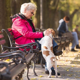 Pet owners have less depression, anxiety and loneliness.