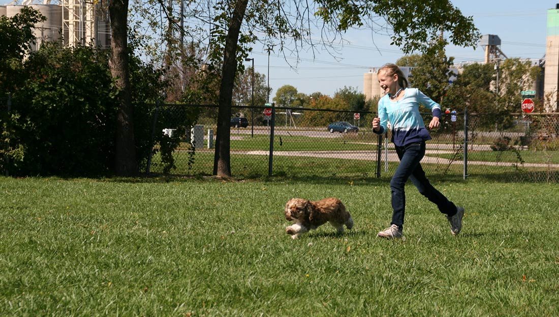 A dog and its owner running in the dog park