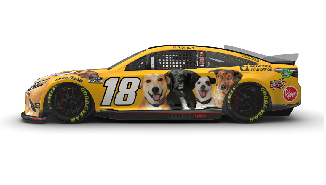|La Toyota Camry n°18 de Kyle Busch avec le schéma de peinture PEDIGREE avec des chiens adoptables et la Fondation PEDIGREE