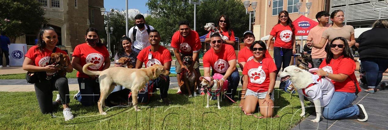 group posed with their dogs at city festival|woman holding dog