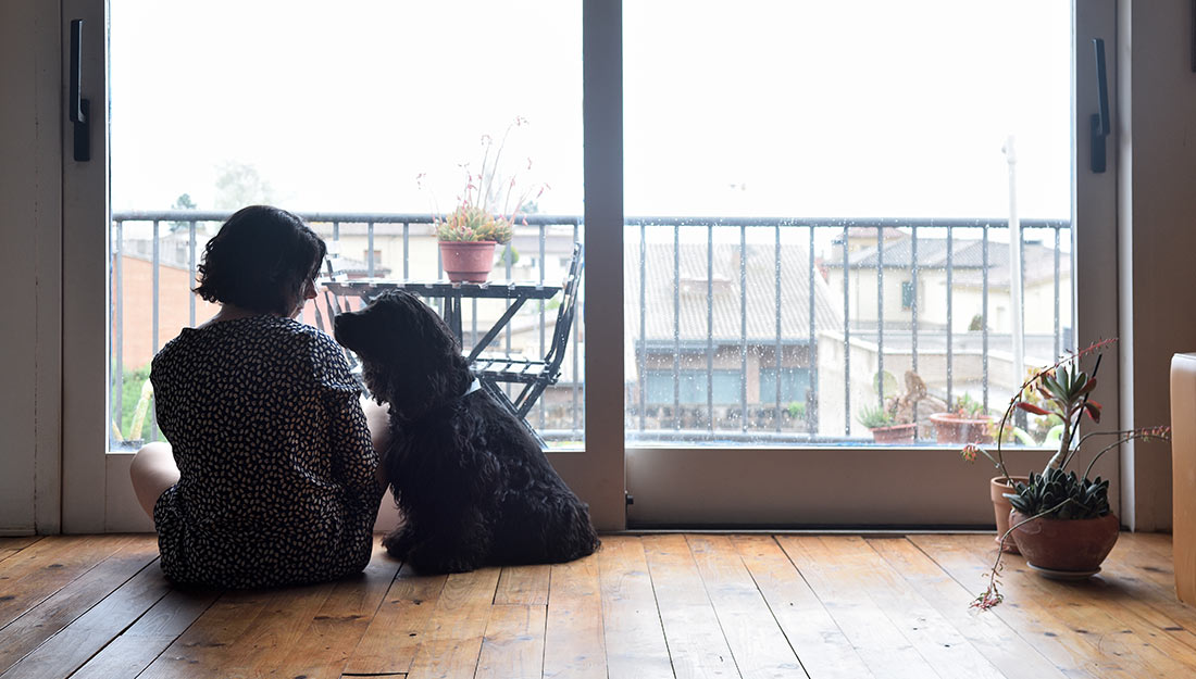 femme triste dans un appartement regardant un chien | page de la boîte à outils de https://www.humananimalsupportservices.org/