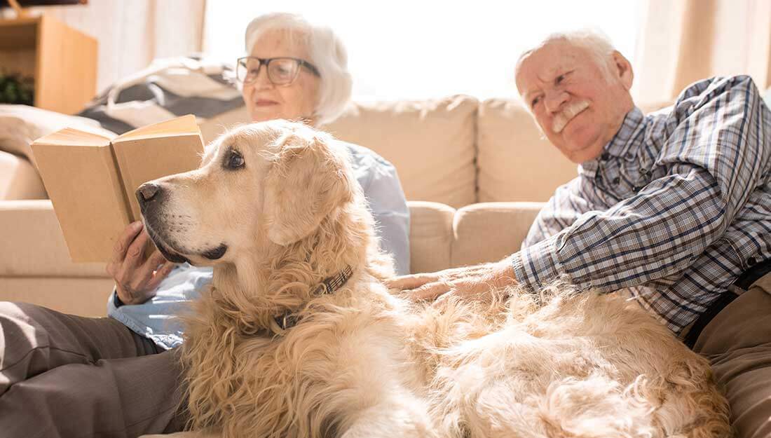 happy couple with dog at home