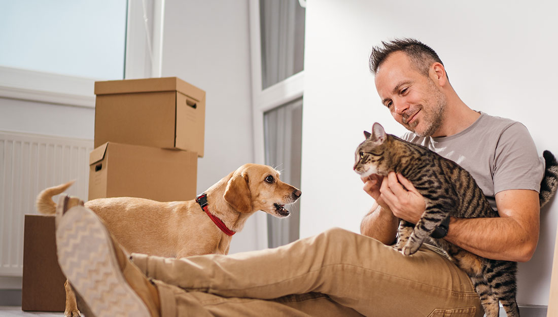homme assis sur le sol avec un chat et un chien dans un appartement avec des cartons de déménagement