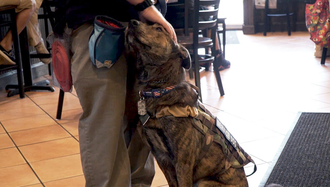 Service dog and owner|