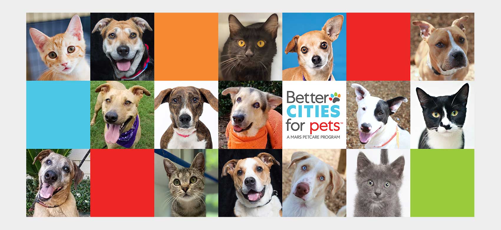 collage d'animaux adoptables|logo Friends for Life|logo Houston Humane|logo Metro Nashville Animal Care & Control|logo Nashville Humane|logo William County Animal Center|collage de chiens