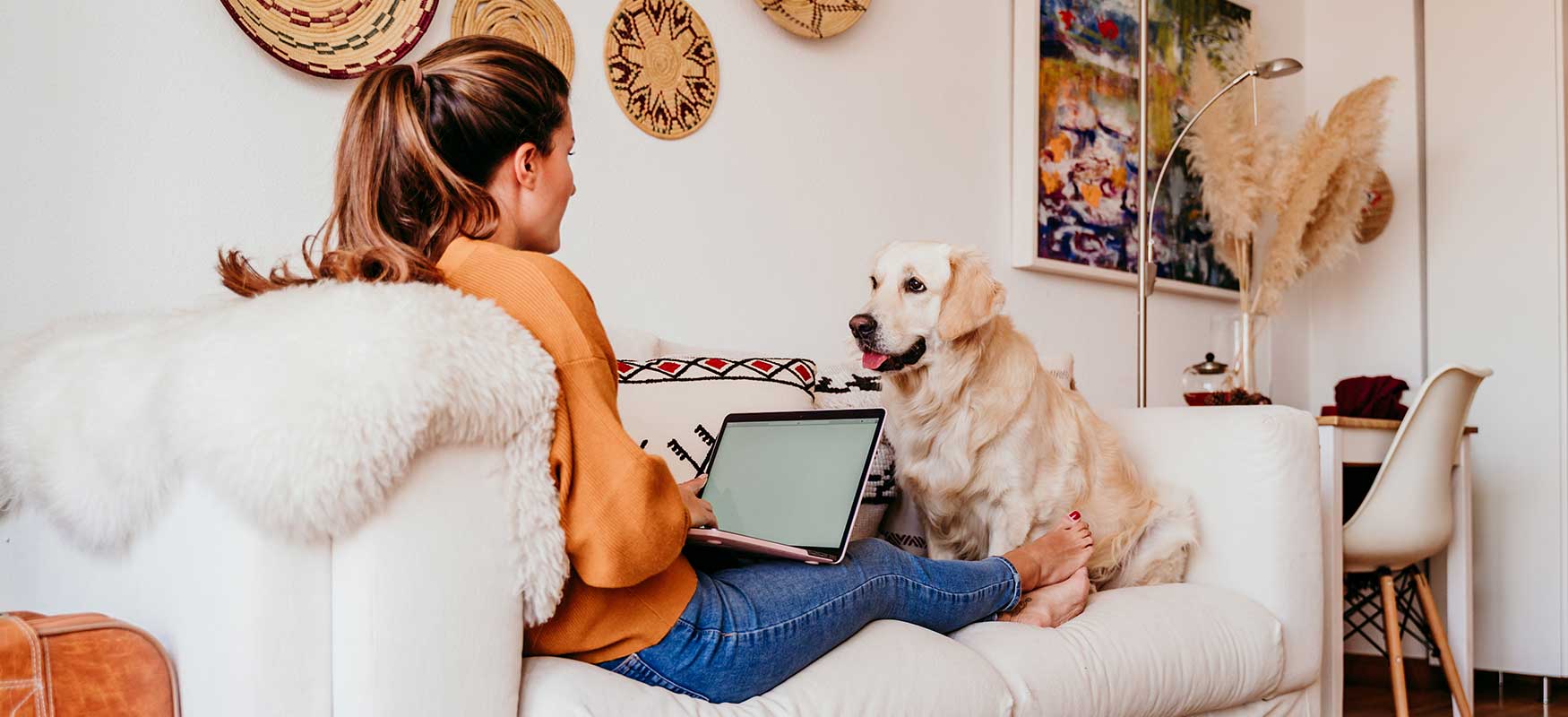 femme assise sur un canapé avec un ordinateur portable et un chien|chat dormant sur un clavier